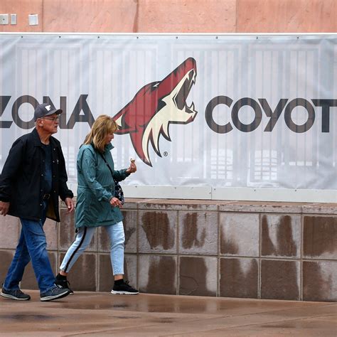 are the arizona coyotes for sale